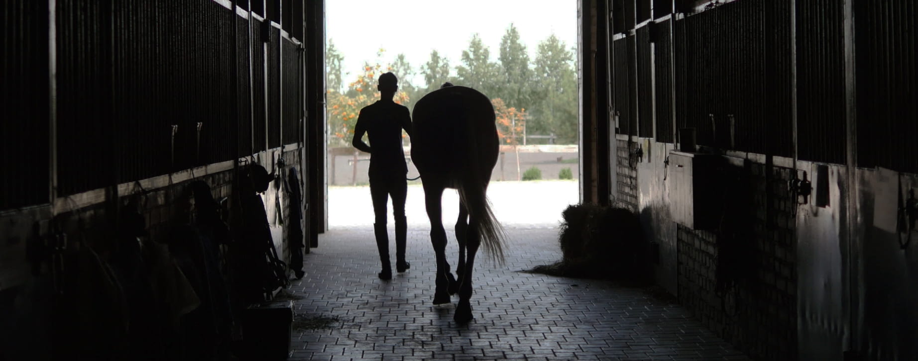 Man and horse leaving stable