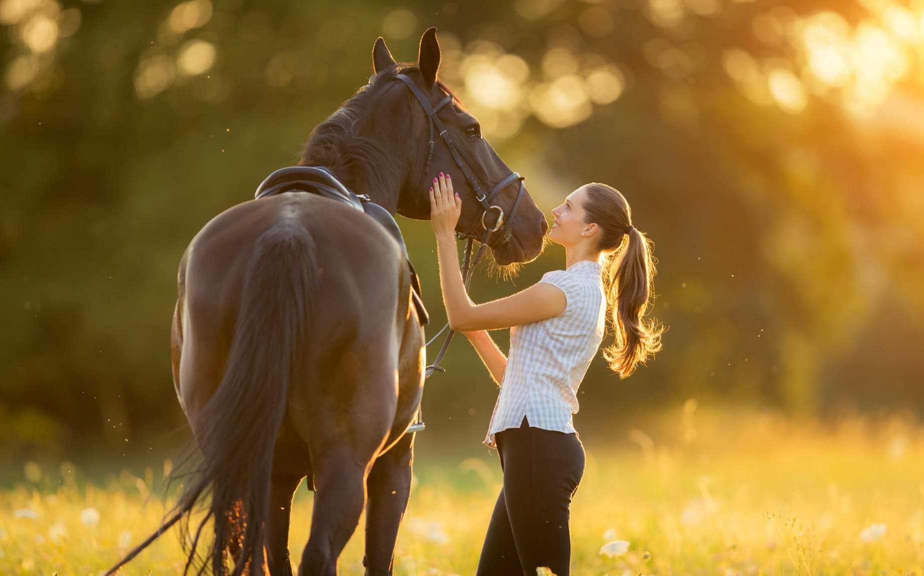 Horse and lady in field