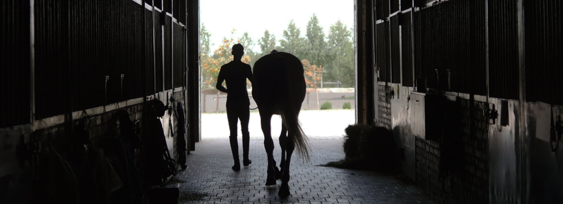 Man and horse leaving a stable